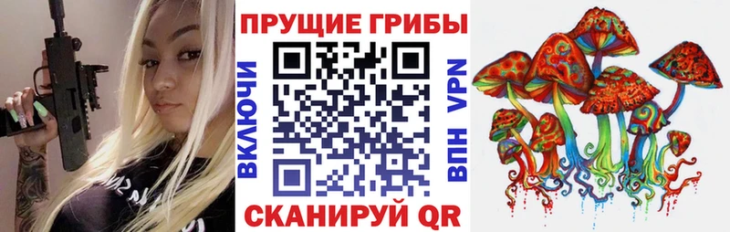 наркошоп  Анадырь  OMG зеркало  Галлюциногенные грибы мицелий 